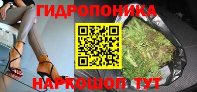 2c-b Пугачёв