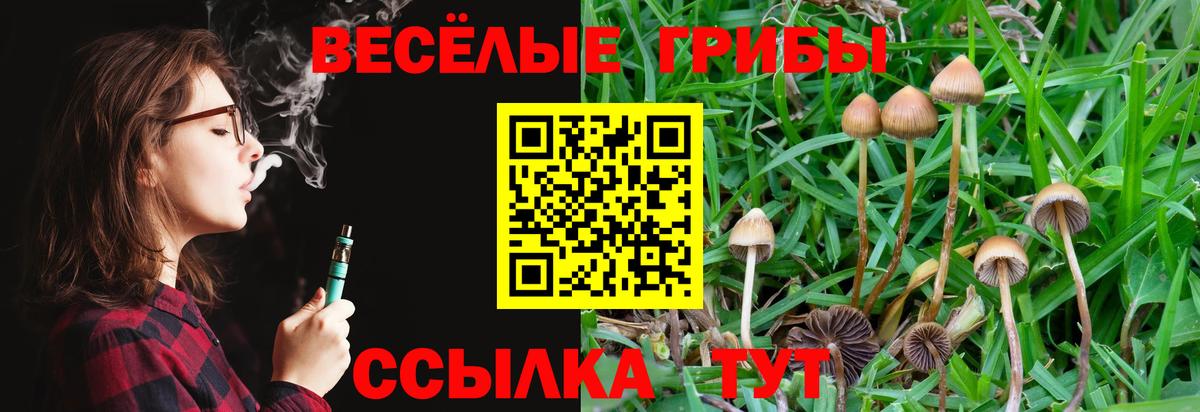 Галлюциногенные грибы Psilocybine cubensis Пенза